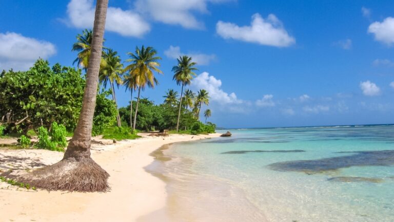 Comment negocier les meilleurs prix pour vos prestations de voyage en famille en Guadeloupe ?